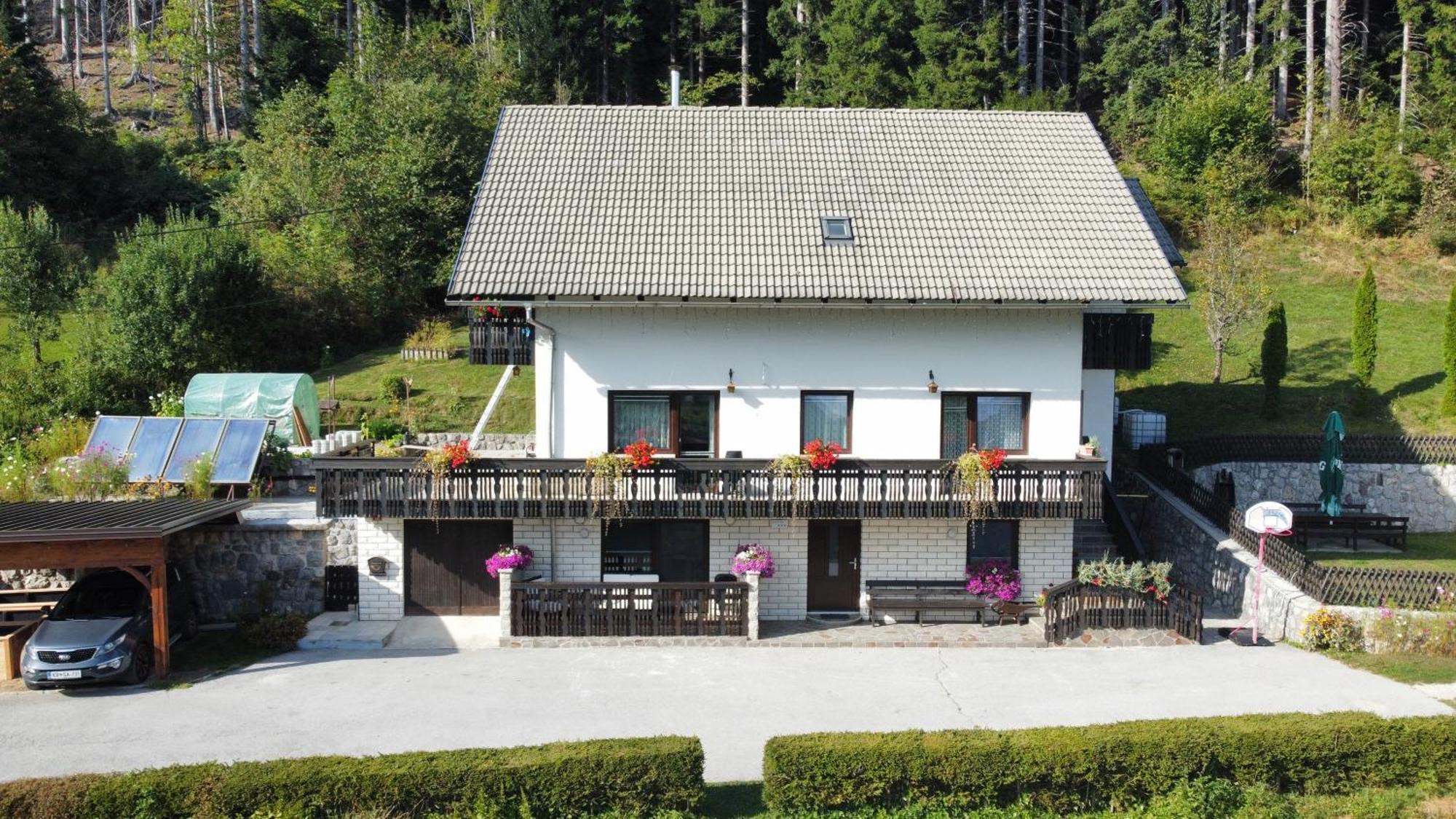 Apartma Vidovic Apartment